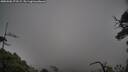 ./images/calvert/fitz-hugh-hecate/20250506/fitz-hugh-hecate20250506_172509M.jpg