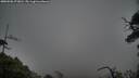 ./images/calvert/fitz-hugh-hecate/20250506/fitz-hugh-hecate20250506_173010M.jpg
