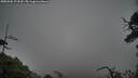 ./images/calvert/fitz-hugh-hecate/20250506/fitz-hugh-hecate20250506_173510M.jpg