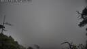 ./images/calvert/fitz-hugh-hecate/20250506/fitz-hugh-hecate20250506_174010M.jpg
