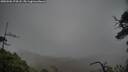 ./images/calvert/fitz-hugh-hecate/20250506/fitz-hugh-hecate20250506_174508M.jpg