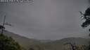 ./images/calvert/fitz-hugh-hecate/20250506/fitz-hugh-hecate20250506_175009M.jpg