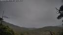./images/calvert/fitz-hugh-hecate/20250506/fitz-hugh-hecate20250506_175509M.jpg
