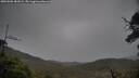 ./images/calvert/fitz-hugh-hecate/20250506/fitz-hugh-hecate20250506_181009M.jpg