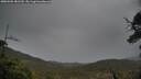 ./images/calvert/fitz-hugh-hecate/20250506/fitz-hugh-hecate20250506_181510M.jpg