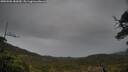 ./images/calvert/fitz-hugh-hecate/20250506/fitz-hugh-hecate20250506_182010M.jpg