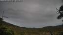./images/calvert/fitz-hugh-hecate/20250506/fitz-hugh-hecate20250506_182509M.jpg