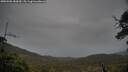 ./images/calvert/fitz-hugh-hecate/20250506/fitz-hugh-hecate20250506_183010M.jpg