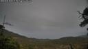 ./images/calvert/fitz-hugh-hecate/20250506/fitz-hugh-hecate20250506_183509M.jpg