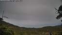 ./images/calvert/fitz-hugh-hecate/20250506/fitz-hugh-hecate20250506_184010M.jpg
