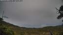 ./images/calvert/fitz-hugh-hecate/20250506/fitz-hugh-hecate20250506_184510M.jpg