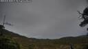 ./images/calvert/fitz-hugh-hecate/20250506/fitz-hugh-hecate20250506_185009M.jpg