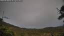 ./images/calvert/fitz-hugh-hecate/20250506/fitz-hugh-hecate20250506_185510M.jpg