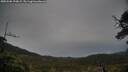 ./images/calvert/fitz-hugh-hecate/20250506/fitz-hugh-hecate20250506_190008M.jpg