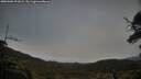 ./images/calvert/fitz-hugh-hecate/20250506/fitz-hugh-hecate20250506_191009M.jpg