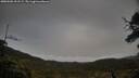 ./images/calvert/fitz-hugh-hecate/20250506/fitz-hugh-hecate20250506_191508M.jpg