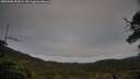 ./images/calvert/fitz-hugh-hecate/20250506/fitz-hugh-hecate20250506_192009M.jpg