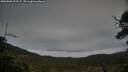 ./images/calvert/fitz-hugh-hecate/20250506/fitz-hugh-hecate20250506_192507M.jpg