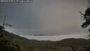 ./images/calvert/fitz-hugh-hecate/20250506/fitz-hugh-hecate20250506_194009M.jpg