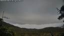 ./images/calvert/fitz-hugh-hecate/20250506/fitz-hugh-hecate20250506_195009M.jpg