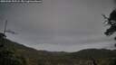 ./images/calvert/fitz-hugh-hecate/20250506/fitz-hugh-hecate20250506_195508M.jpg