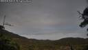 ./images/calvert/fitz-hugh-hecate/20250506/fitz-hugh-hecate20250506_200508M.jpg