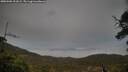 ./images/calvert/fitz-hugh-hecate/20250506/fitz-hugh-hecate20250506_201008M.jpg