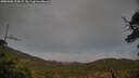 ./images/calvert/fitz-hugh-hecate/20250506/fitz-hugh-hecate20250506_202009M.jpg