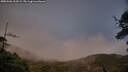 ./images/calvert/fitz-hugh-hecate/20250506/fitz-hugh-hecate20250506_203009M.jpg