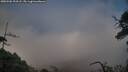 ./images/calvert/fitz-hugh-hecate/20250506/fitz-hugh-hecate20250506_203508M.jpg