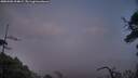./images/calvert/fitz-hugh-hecate/20250506/fitz-hugh-hecate20250506_204008M.jpg