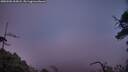 ./images/calvert/fitz-hugh-hecate/20250506/fitz-hugh-hecate20250506_205008M.jpg