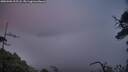 ./images/calvert/fitz-hugh-hecate/20250506/fitz-hugh-hecate20250506_205508M.jpg
