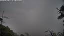 ./images/calvert/fitz-hugh-hecate/20250506/fitz-hugh-hecate20250506_210008M.jpg