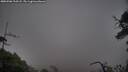 ./images/calvert/fitz-hugh-hecate/20250506/fitz-hugh-hecate20250506_210508M.jpg