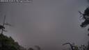 ./images/calvert/fitz-hugh-hecate/20250506/fitz-hugh-hecate20250506_211009M.jpg