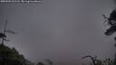 ./images/calvert/fitz-hugh-hecate/20250506/fitz-hugh-hecate20250506_211507M.jpg