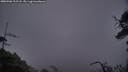 ./images/calvert/fitz-hugh-hecate/20250506/fitz-hugh-hecate20250506_212508M.jpg
