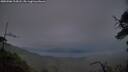 ./images/calvert/fitz-hugh-hecate/20250506/fitz-hugh-hecate20250506_213008M.jpg