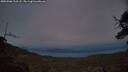 ./images/calvert/fitz-hugh-hecate/20250506/fitz-hugh-hecate20250506_213508M.jpg