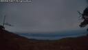 ./images/calvert/fitz-hugh-hecate/20250506/fitz-hugh-hecate20250506_214007M.jpg