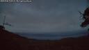 ./images/calvert/fitz-hugh-hecate/20250506/fitz-hugh-hecate20250506_214508M.jpg