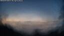./images/calvert/fitz-hugh-hecate/20250507/fitz-hugh-hecate20250507_052009M.jpg