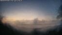 ./images/calvert/fitz-hugh-hecate/20250507/fitz-hugh-hecate20250507_053009M.jpg