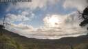 ./images/calvert/fitz-hugh-hecate/20250507/fitz-hugh-hecate20250507_074510M.jpg