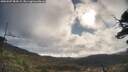 ./images/calvert/fitz-hugh-hecate/20250507/fitz-hugh-hecate20250507_084509M.jpg