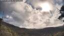 ./images/calvert/fitz-hugh-hecate/20250507/fitz-hugh-hecate20250507_085010M.jpg