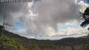 ./images/calvert/fitz-hugh-hecate/20250507/fitz-hugh-hecate20250507_100508M.jpg