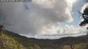 ./images/calvert/fitz-hugh-hecate/20250507/fitz-hugh-hecate20250507_101010M.jpg