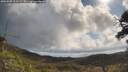 ./images/calvert/fitz-hugh-hecate/20250507/fitz-hugh-hecate20250507_101508M.jpg
